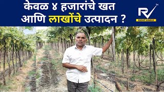 @RightAngleNewss | Grapes sangli | केवळ ४ हजारांच्या खतांवर शेतकरी कमावतोय लाखोंचे द्राक्ष उत्पादन.