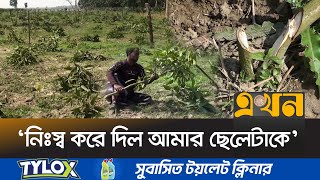 রাতের আঁধারে ৮ শতাধিক আমগাছ কেটেছে  দুর্বৃত্তরা |  Chapainawabganj News | Ekhon TV