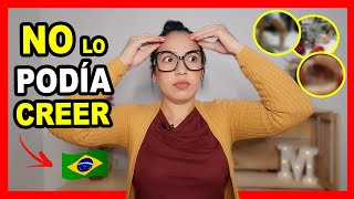 😱TRADICIONES de BRASIL que SORPRENDIERON cuando llegué | CURIOSIDADES y COSTUMBRES de los BRASILEÑOS