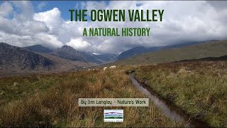 The Ogwen valley - a natural history