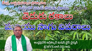 వెదురు రకాలు మరియు సాగు వివరాలు  || వెదురు సాగు part 2 || Bamboo Cultivation In Telugu