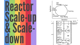 Reactor Scale-up \u0026 Scale-down| Explained| Bioprocess \u0026 Biochemical Engineering