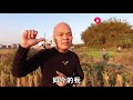 這首歌是光哥的網友“海上漂泊 最愛聽的，大家來聽聽唱的怎樣？【桂平光哥】