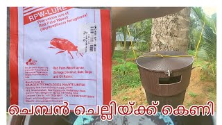 ചെമ്പൻ ചെല്ലിയ്ക്ക് ഒന്നാന്തരം കെണി (pheromone trap for Rhyncophorus Ferrugineus) RPW - LURE