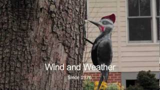 Woodpecker Iron Garden Sculpture - Wind \u0026 Weather