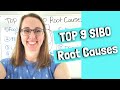 TOP 9 SIBO Root Causes