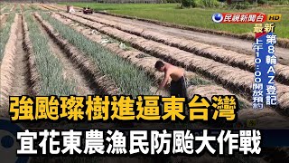 璨樹進逼! 宜花東漁民綁漁船.農民忙搶收－民視新聞