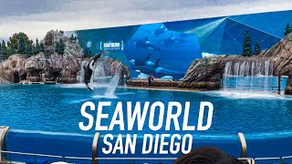 Vlog | SeaWorld San Diego 聖地牙哥海洋世界