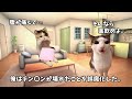 親の目の前で精通した話　＃猫マニ　＃猫ミーム　 猫meme