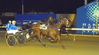 Harness Racing,Harold Park-22/05/1998 Trotters Inter-Dominion (Buster Hanover-A.Herlihy)