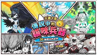 神魔之塔 《貓咪大戰爭》合作【★  第四彈：魔法石封印活動『傳説中的貓咪兵器』】靠賽的首5抽