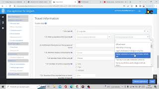 Belçika  vizesi başvuru formu hatasız nasıl doldurulur? Tüm detaylarıyla...