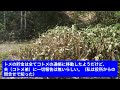 【修羅場】トメが認知症を発症し、経済的に苦しいと言う事で、我が家にトメとコトメの同居を開始した。だがコトメは家事はほとんどせず、同居当初に私がキレた結果【スカッとじゃぱん】