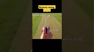 How to reverse swing ball🤯🤯 || SWING BALL TIPS #shorts​ #cricket​ #cricketlover #sigma #ytshorts