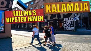 ⭐ Walking a HIPSTER HAVEN in TALLINN, ESTONIA