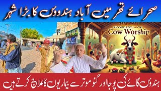 Hindu life in Pakistan | Sacred cow worship in Hinduism | Shocking revelation about cow wership