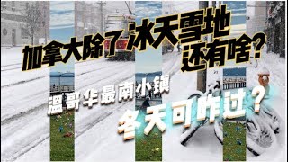 加拿大除了冰天雪地还有啥  温哥华最南小镇冬天怎么过？