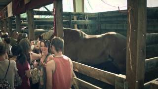 Roaming Gallivants visit the State Fair of West Virginia