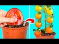 GROW YOUR PLANTS LIKE A REAL PRO || 28 Gardening Hacks For Beginners