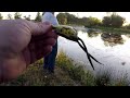 late summer bass fishing at cheadle lake