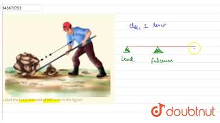 Label the load arm and effort arm in the figure. | 6 | ENERGY  | PHYSICS | ICSE | Doubtnut