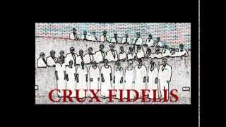 CRUX FIDELIS - GRZEGORZ MIŚKIEWICZ