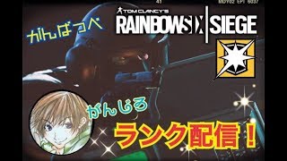 がんばっぺ！R6S！ランク参加型！エンジョイ！！