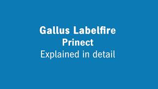 Gallus Labelfire Prinect - Explained in detail