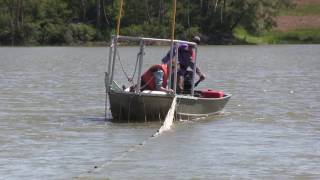 How many fish are in that lake? - Population Estimates of Sportfish in the Binbrook Reservoir Part 1