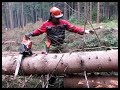 complete processing of tree felling limbing handling a chainsaw husqvarna 562 xp.