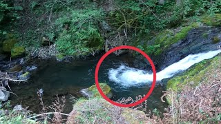 【源流釣り】京都の天然アマゴと天然イワナ！ルアーで渓流釣り【渓流ルアー・アマゴ釣り・イワナ釣り】