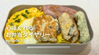 【お弁当28】映えなくてもOK！好きなおかずだけ詰めた癒し弁当