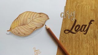 Easy leaf drawing | Realistic leaf drawing | Dry leaf realistic drawing