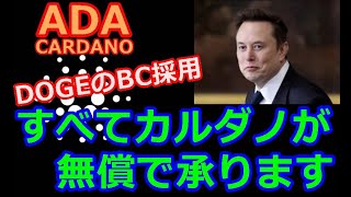 【カルダノADA 10万円勝負!】20250125 第2108回  DOGEのブロックチェーン すべてカルダノが無償で承ります。   2,182,509円 (+2082.5%）