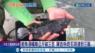 石斑危機怎麼解? 陳吉仲籲\