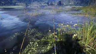 Retour sur Call of the angler session pêche au brochet au canne poser 🎮😉🐟