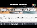 [베이스레슨Bass Tutorial] 베이스를 치기 전 꼭 해야할 연습 및 손풀기 (크로매틱) Chromatic Scale Practice (+BASS TAB)