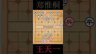 象棋王天一 , 郑惟桐 ,  结束游戏 52 #shorts