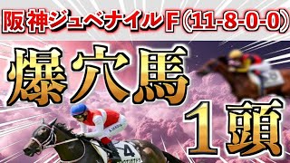 【阪神ジュベナイルフィリーズ2024】先週ドゥラエレーデ🥉1発『特大万馬券』へ🏆全条件パーフェクトは衝撃のアノ馬◉【競馬予想】