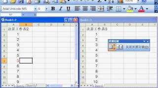 郭安定：Excel 2003 实用基础 03-09 并排不同数据内容