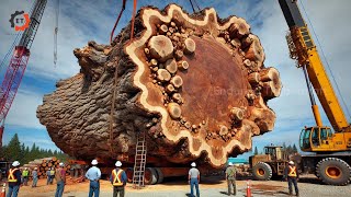 Steel monster swallows giant tree: The mystery of the modern wood factory  #44