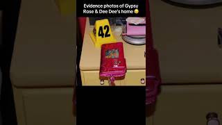 Evidence photos of Gypsy Rose & Dee Dee’s home 🤯