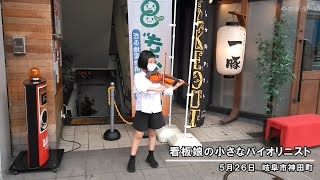 看板娘のバイオリン少女　～岐阜市神田町