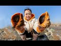 Going to the sea at low tide, strayed into a conch farm, and picked up a super large snail