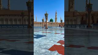 میری آنے والی سب نسلیں #نعت #نبیﷺ #السعودية #allislamicvideo #karbala @YouTube @YouTubeViewers