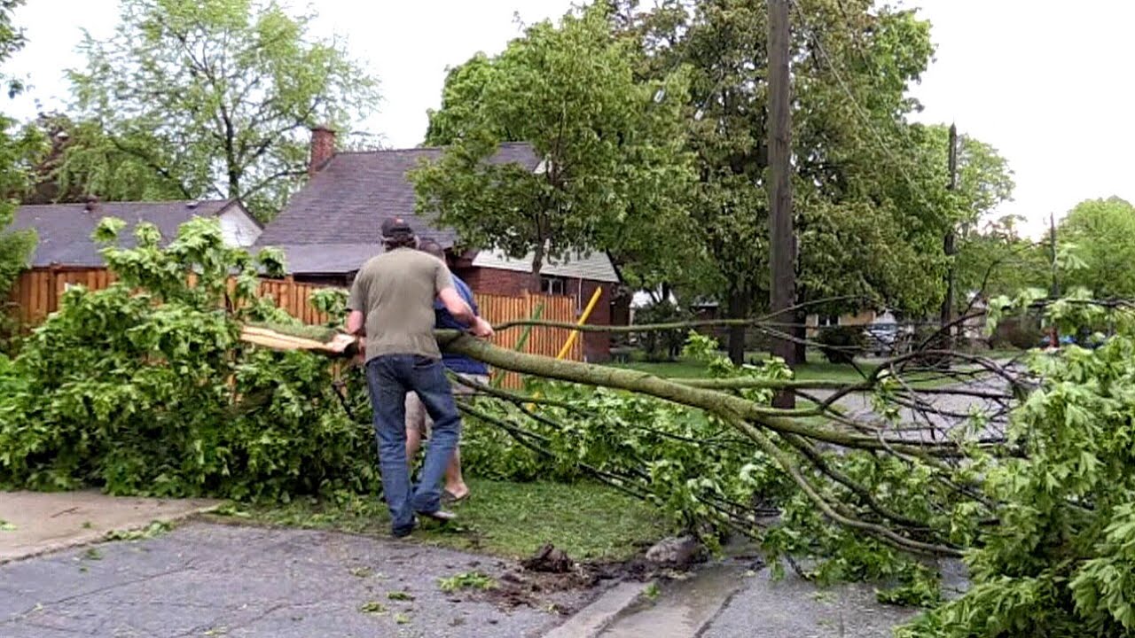 Woman Dies After Being Struck By Tree During Ont. Storm - YouTube