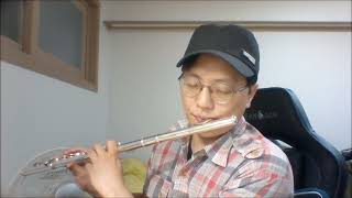 Blue Archive) Nesno wons (Hot spring resort No.227 Title BGM) flute cover