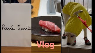 일상Vlog l 세이류 런치 오마카세 l 폴스미스 언박싱