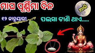 ମାଘ ପୂର୍ଣ୍ଣିମା ରେ ଘରକୁ ନେଇ ଆସନ୍ତୁ ଏହି ଗଛର ଚେର/magha purnima 2025