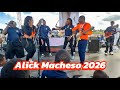 Alick Macheso Full Live Performance 2026 | Nyaradzo Event 🔥